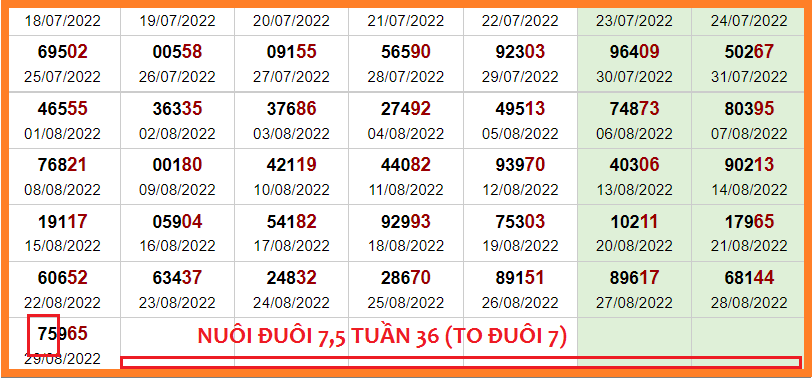 ĐUÔI 75 TUẦN 36.png