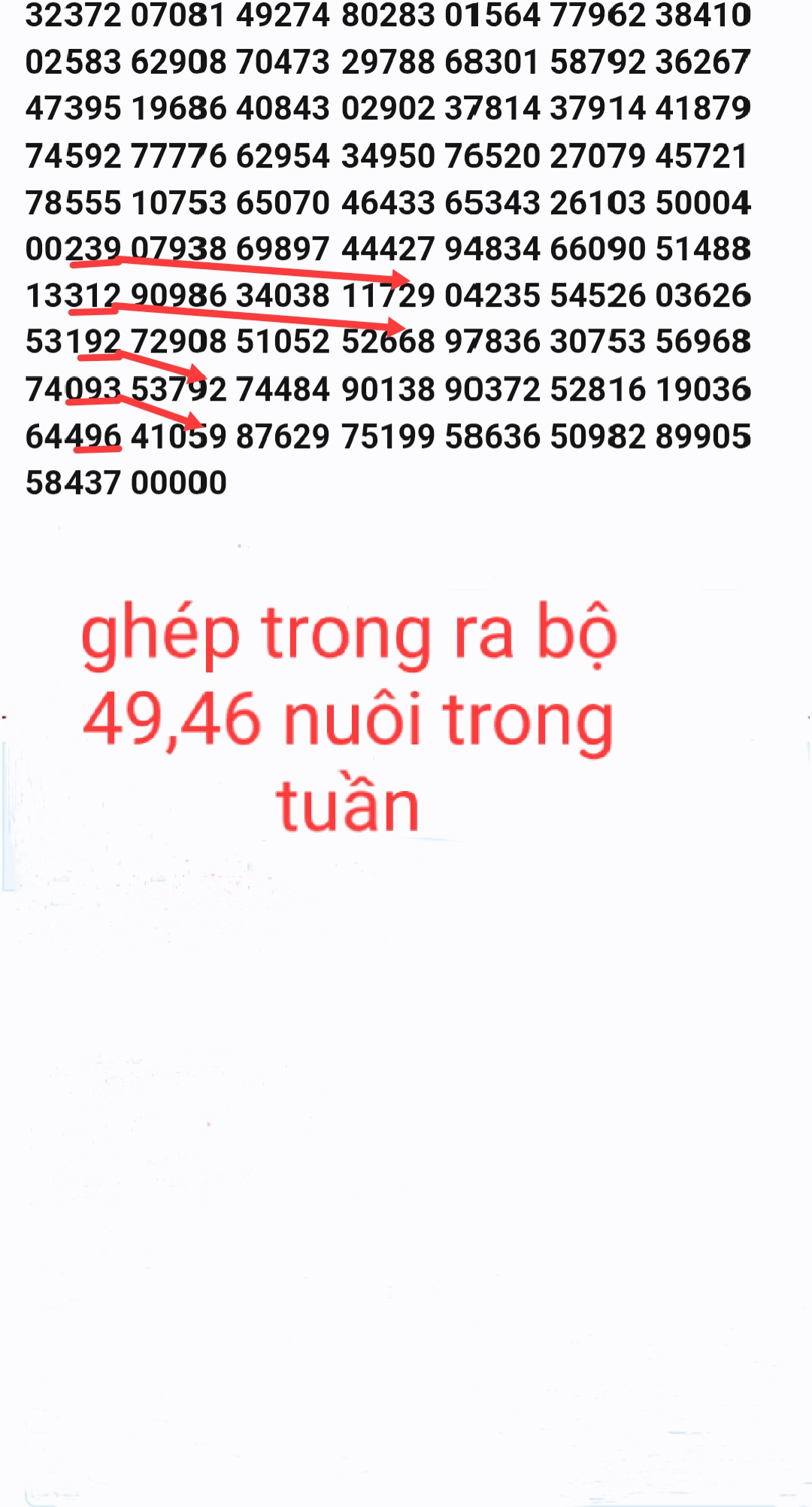 1767063874944.jpg