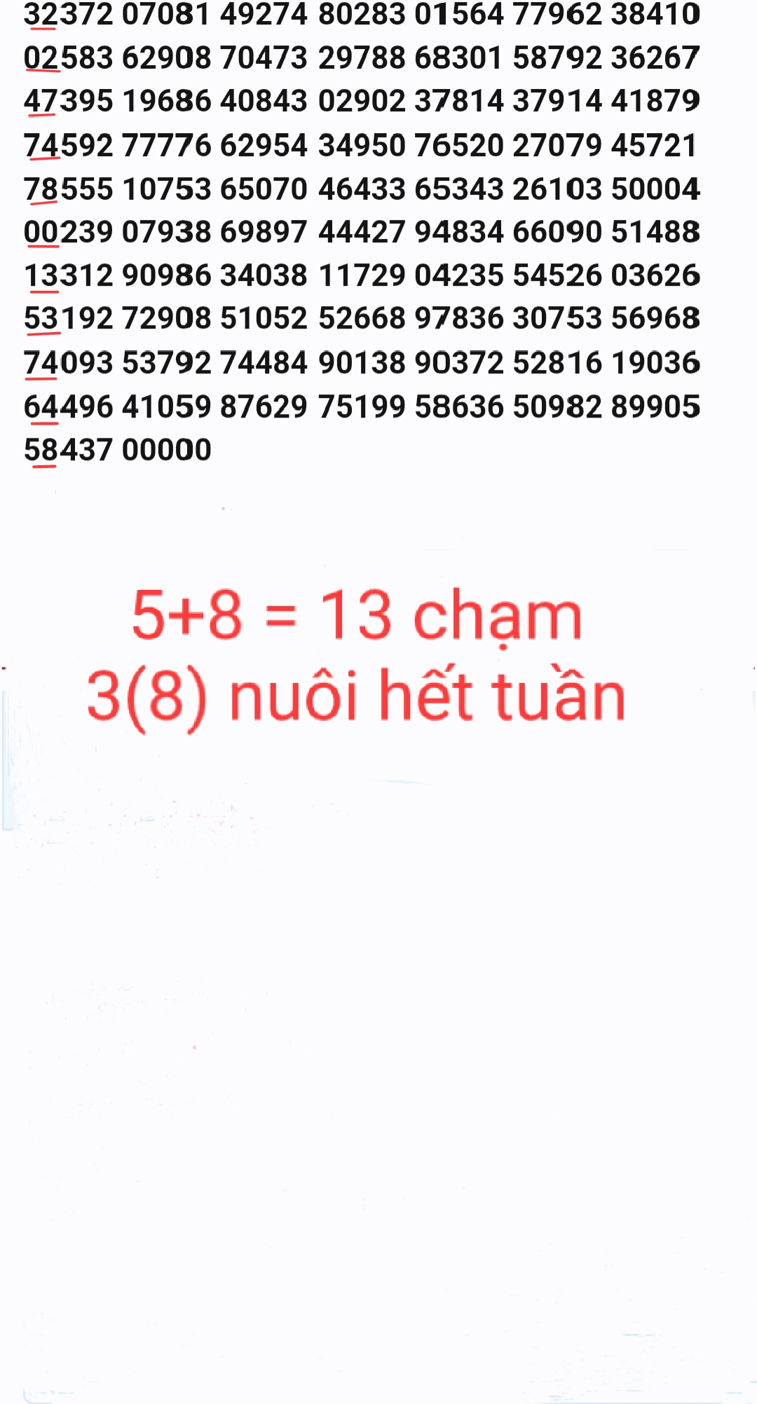 1767215923935.jpg