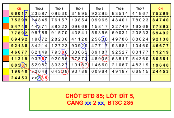 CAU DE 3c 10-09.png