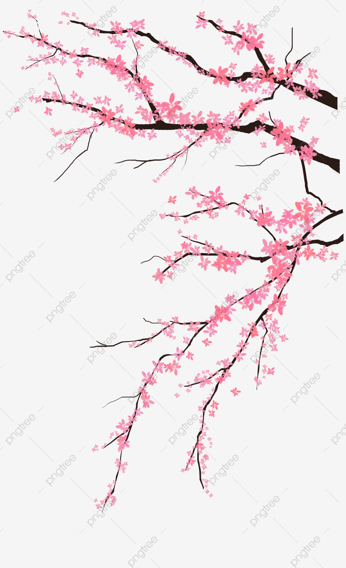 pngtree-pink-peach-decoration-illustration-png-image_4665371.jpg