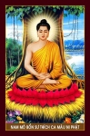 trangpham.3110