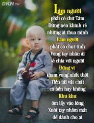 ngophong_bg