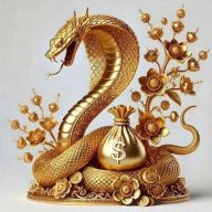 Nhu_Y