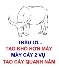 NGHEO20092021