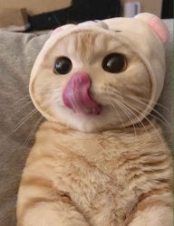wjntryboy89