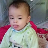 Nam 6368