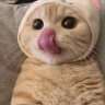 wjntryboy89